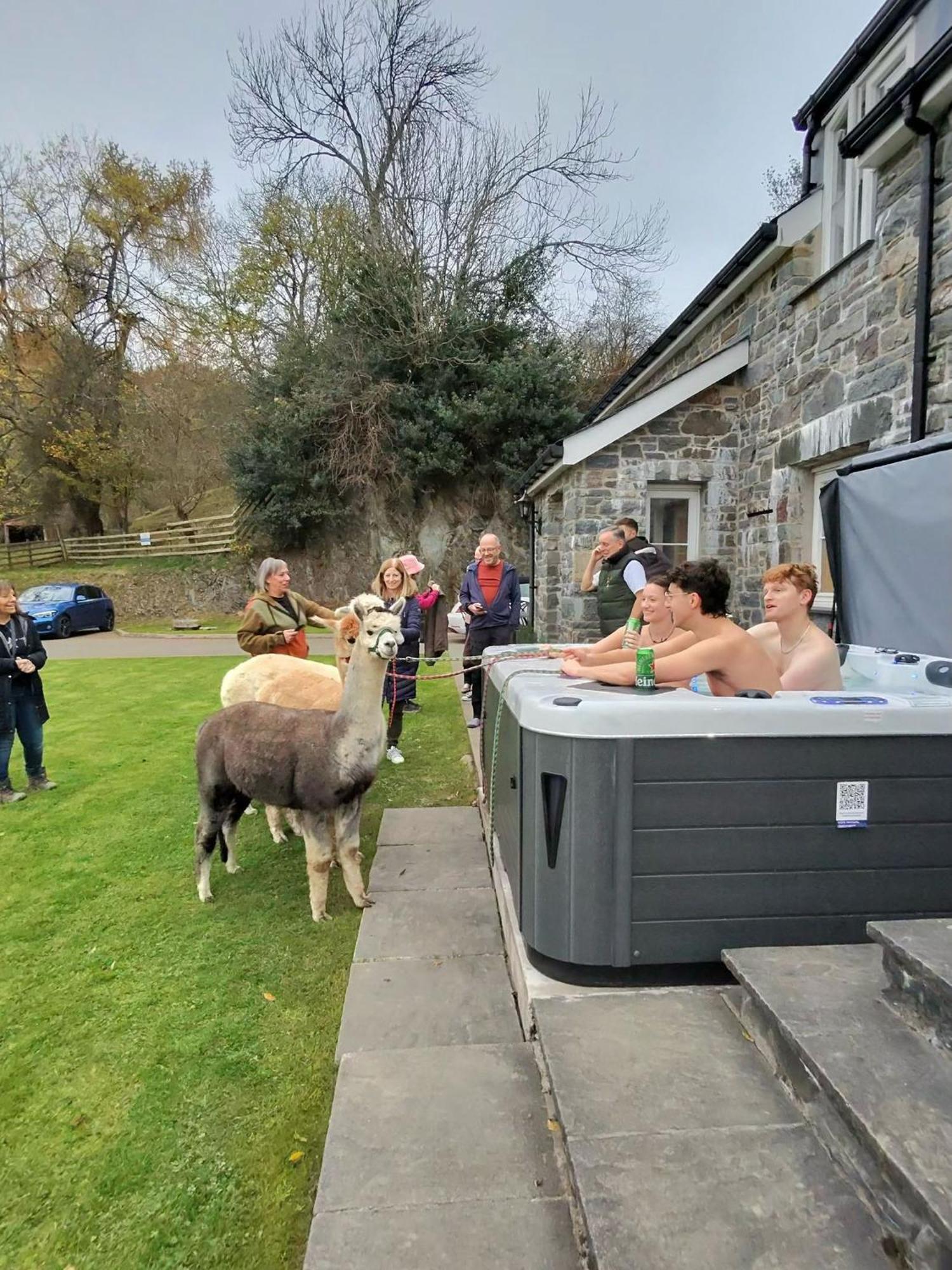 Holiday home Stunning Barn Conversion With Hot Tub And Alpacas - Ty Cerrig Barn